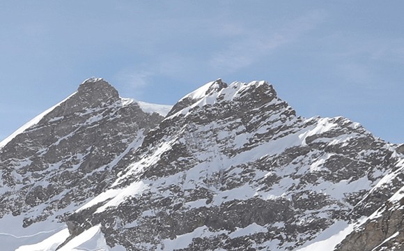 妍丽集团(雪露紫)